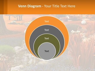 A Picture Of A Garden With Rocks And Plants PowerPoint Template