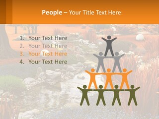 A Picture Of A Garden With Rocks And Plants PowerPoint Template