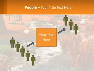 A Picture Of A Garden With Rocks And Plants PowerPoint Template