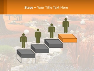 A Picture Of A Garden With Rocks And Plants PowerPoint Template
