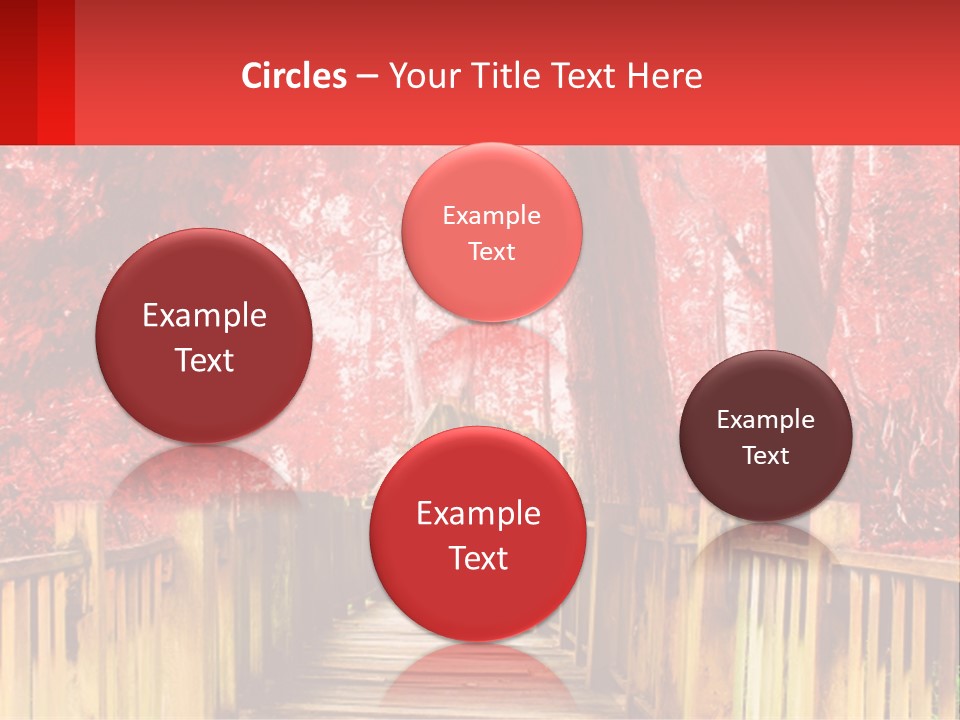 A Picture Of A Red Forest With Stairs PowerPoint Template