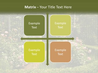 A Garden With Flowers And A Bench In The Middle Of It PowerPoint Template