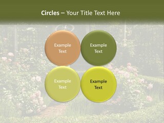 A Garden With Flowers And A Bench In The Middle Of It PowerPoint Template