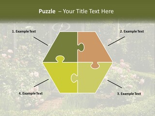 A Garden With Flowers And A Bench In The Middle Of It PowerPoint Template