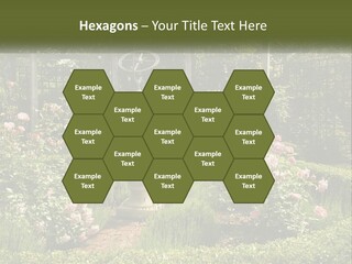A Garden With Flowers And A Bench In The Middle Of It PowerPoint Template