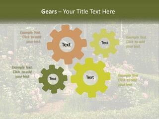 A Garden With Flowers And A Bench In The Middle Of It PowerPoint Template
