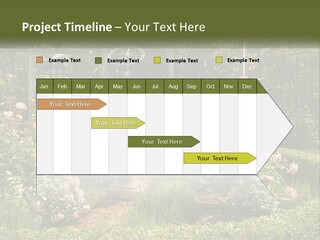 A Garden With Flowers And A Bench In The Middle Of It PowerPoint Template