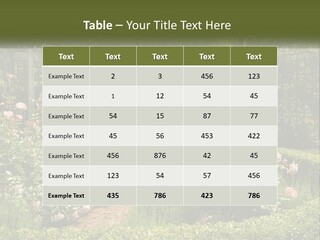 A Garden With Flowers And A Bench In The Middle Of It PowerPoint Template