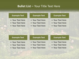 A Garden With Flowers And A Bench In The Middle Of It PowerPoint Template