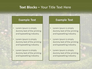 A Garden With Flowers And A Bench In The Middle Of It PowerPoint Template
