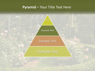 A Garden With Flowers And A Bench In The Middle Of It PowerPoint Template