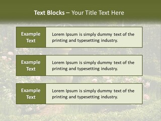 A Garden With Flowers And A Bench In The Middle Of It PowerPoint Template