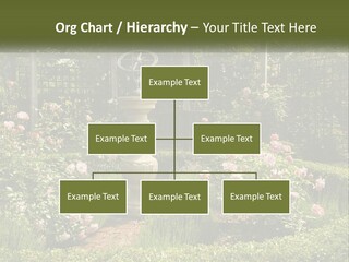 A Garden With Flowers And A Bench In The Middle Of It PowerPoint Template