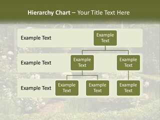 A Garden With Flowers And A Bench In The Middle Of It PowerPoint Template