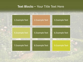 A Garden With Flowers And A Bench In The Middle Of It PowerPoint Template