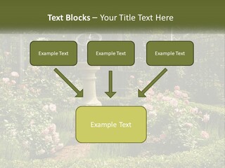 A Garden With Flowers And A Bench In The Middle Of It PowerPoint Template