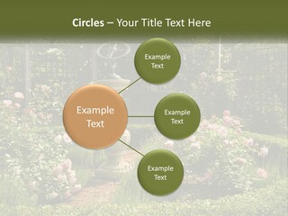 A Garden With Flowers And A Bench In The Middle Of It PowerPoint Template