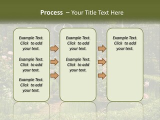 A Garden With Flowers And A Bench In The Middle Of It PowerPoint Template
