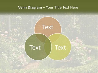 A Garden With Flowers And A Bench In The Middle Of It PowerPoint Template