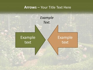 A Garden With Flowers And A Bench In The Middle Of It PowerPoint Template
