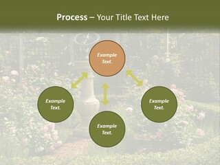 A Garden With Flowers And A Bench In The Middle Of It PowerPoint Template