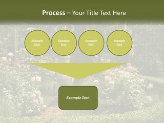 A Garden With Flowers And A Bench In The Middle Of It PowerPoint Template