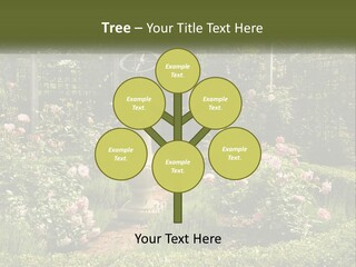 A Garden With Flowers And A Bench In The Middle Of It PowerPoint Template