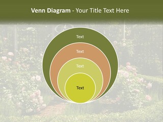 A Garden With Flowers And A Bench In The Middle Of It PowerPoint Template