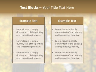 A Woman Is Holding Her Hands Up In The Air PowerPoint Template