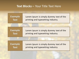 A Woman Is Holding Her Hands Up In The Air PowerPoint Template