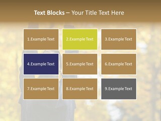 A Woman Is Holding Her Hands Up In The Air PowerPoint Template