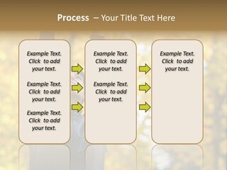 A Woman Is Holding Her Hands Up In The Air PowerPoint Template
