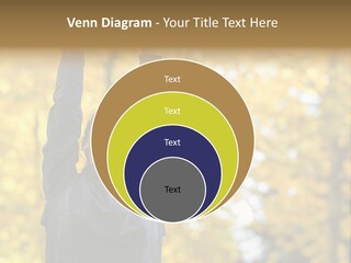 A Woman Is Holding Her Hands Up In The Air PowerPoint Template