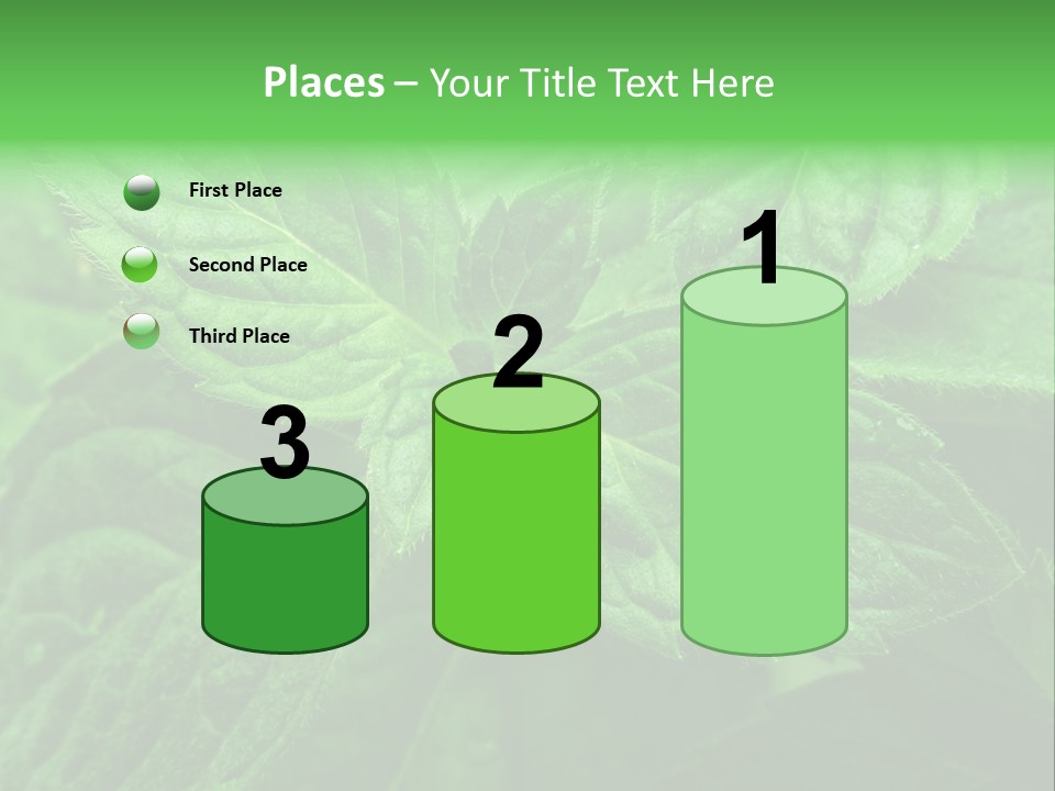A Close Up Of A Green Leaf Powerpoint Template PowerPoint Template