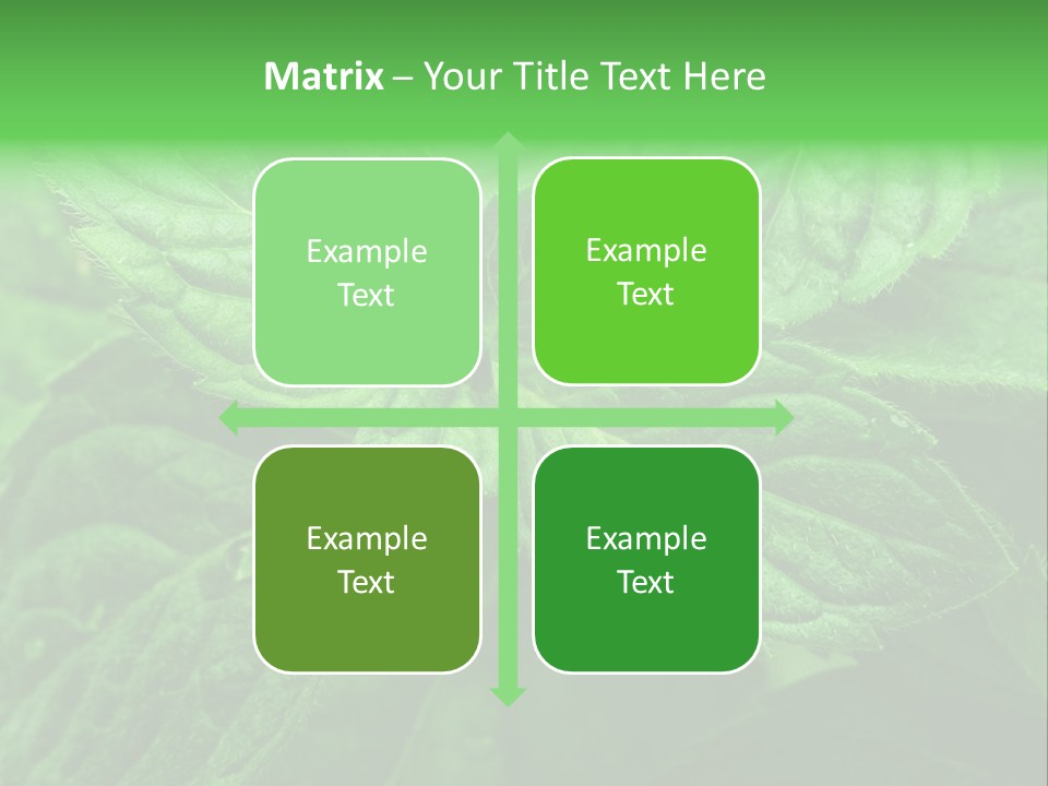 A Close Up Of A Green Leaf Powerpoint Template PowerPoint Template