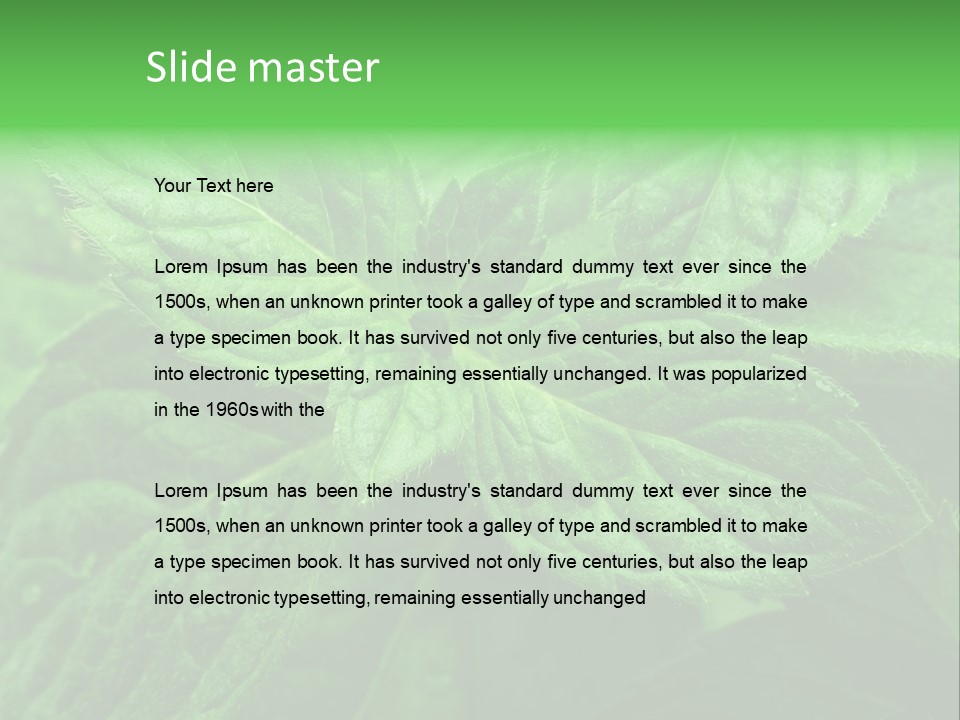 A Close Up Of A Green Leaf Powerpoint Template PowerPoint Template