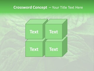 A Close Up Of A Green Leaf Powerpoint Template PowerPoint Template
