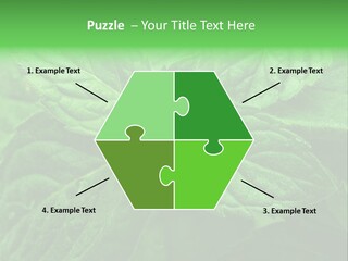 A Close Up Of A Green Leaf Powerpoint Template PowerPoint Template