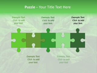 A Close Up Of A Green Leaf Powerpoint Template PowerPoint Template