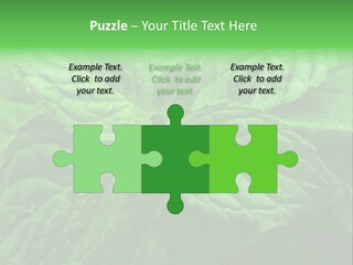 A Close Up Of A Green Leaf Powerpoint Template PowerPoint Template