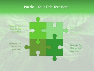 A Close Up Of A Green Leaf Powerpoint Template PowerPoint Template