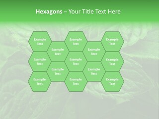 A Close Up Of A Green Leaf Powerpoint Template PowerPoint Template