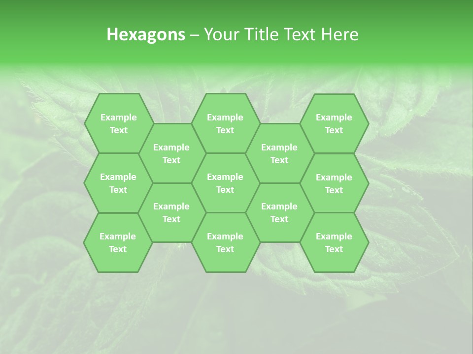 A Close Up Of A Green Leaf Powerpoint Template PowerPoint Template