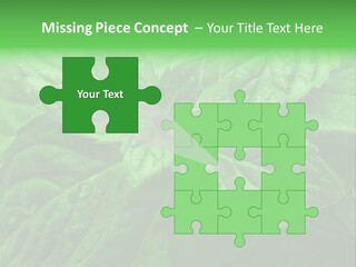 A Close Up Of A Green Leaf Powerpoint Template PowerPoint Template