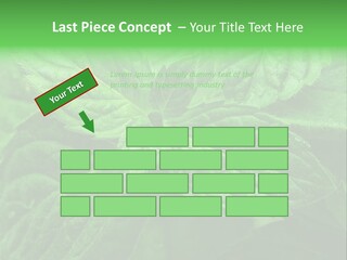 A Close Up Of A Green Leaf Powerpoint Template PowerPoint Template