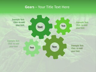 A Close Up Of A Green Leaf Powerpoint Template PowerPoint Template