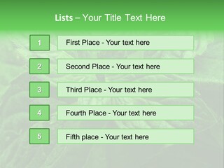 A Close Up Of A Green Leaf Powerpoint Template PowerPoint Template