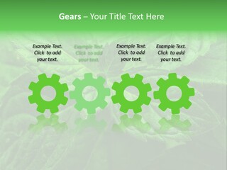 A Close Up Of A Green Leaf Powerpoint Template PowerPoint Template