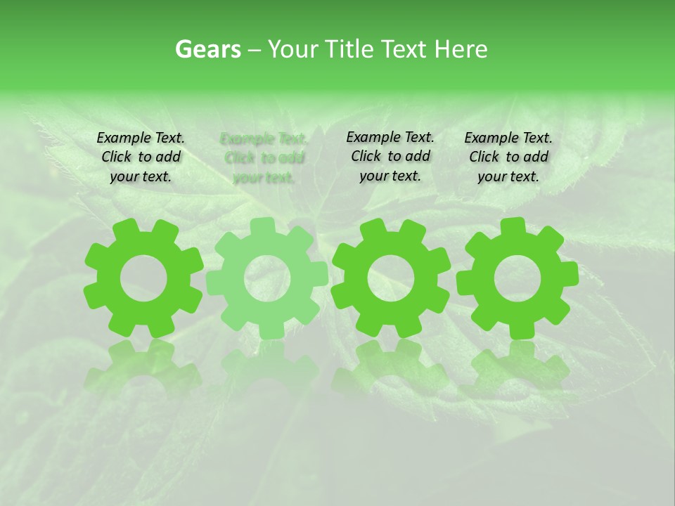 A Close Up Of A Green Leaf Powerpoint Template PowerPoint Template