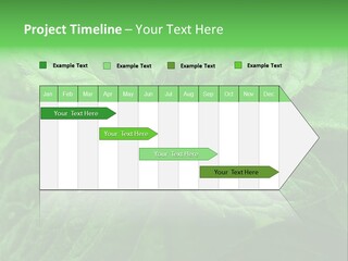A Close Up Of A Green Leaf Powerpoint Template PowerPoint Template